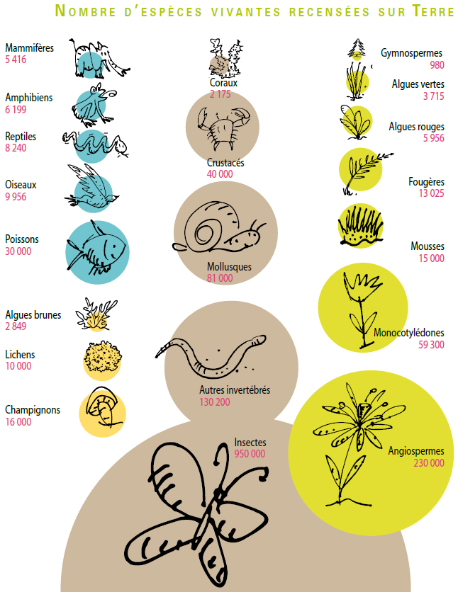 Nombre especes vivante resensees sur terre