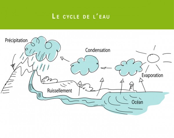 Cycle de l’eau - Les cahiers du DD - outil complet